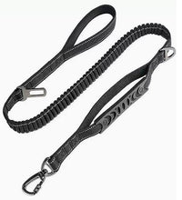 PawForge Bungee Leash