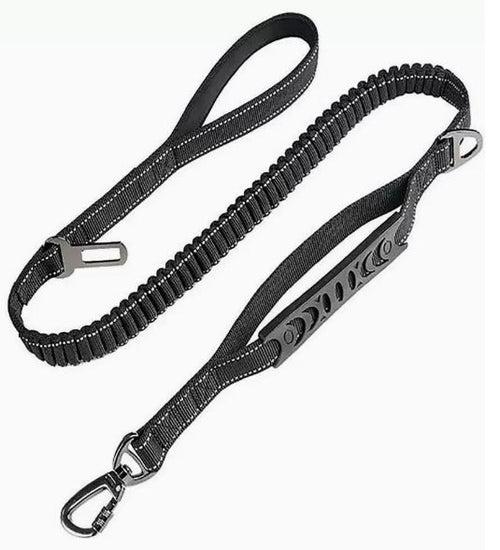 PawForge Bungee Leash