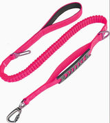 PawForge Bungee Leash
