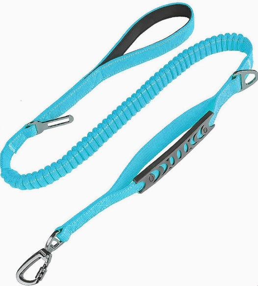 PawForge Bungee Leash