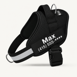 PawForge Powerharness in Black