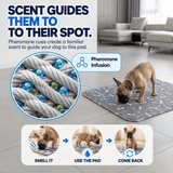 PawForge Pee Pad